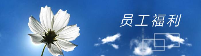 网站关键词 网站关键词